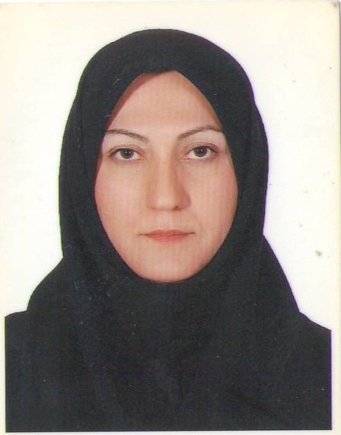 Naghmeh Mobarghaee dinan