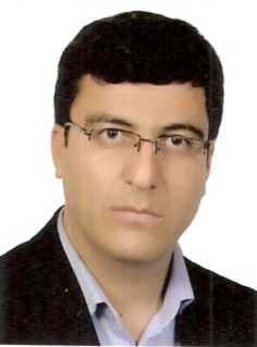 Seyyed Mehdi Tabatabaei